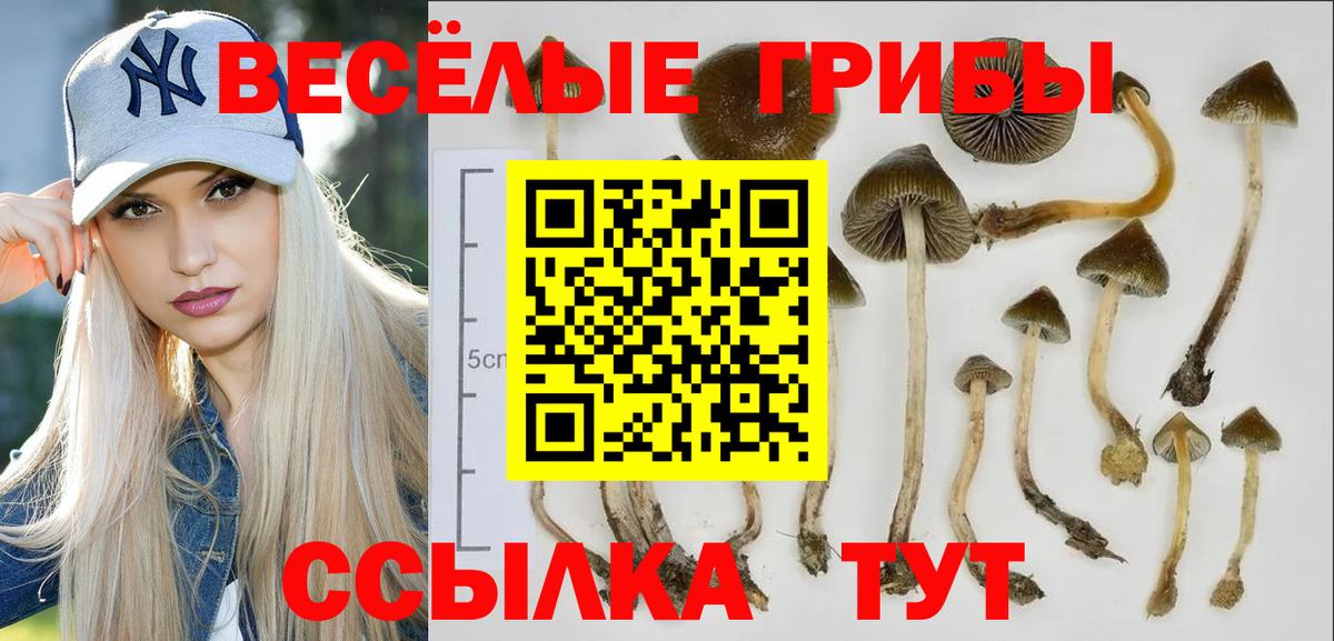 Галлюциногенные грибы мухоморы Луга